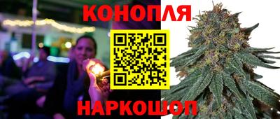 индика Бузулук
