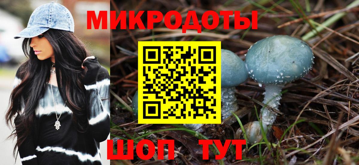 Псилоцибиновые грибы MAGIC MUSHROOMS Переславль-Залесский